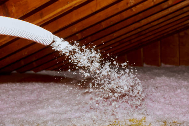 Best Spray Foam Insulation  in Saranac Lake, NY