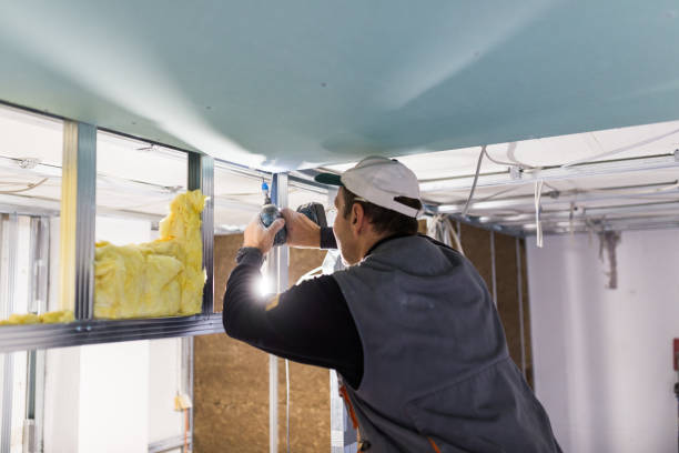 Best Spray Foam Insulation  in Saranac Lake, NY