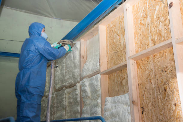 Best Attic Insulation Installation  in Saranac Lake, NY