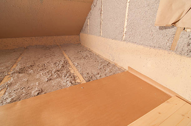 Best Insulation Removal Services  in Saranac Lake, NY